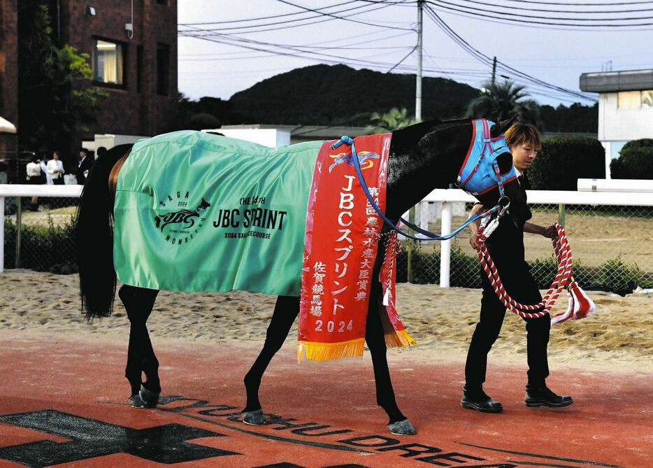 ＪＢＣスプリントを制したタガノビューティー