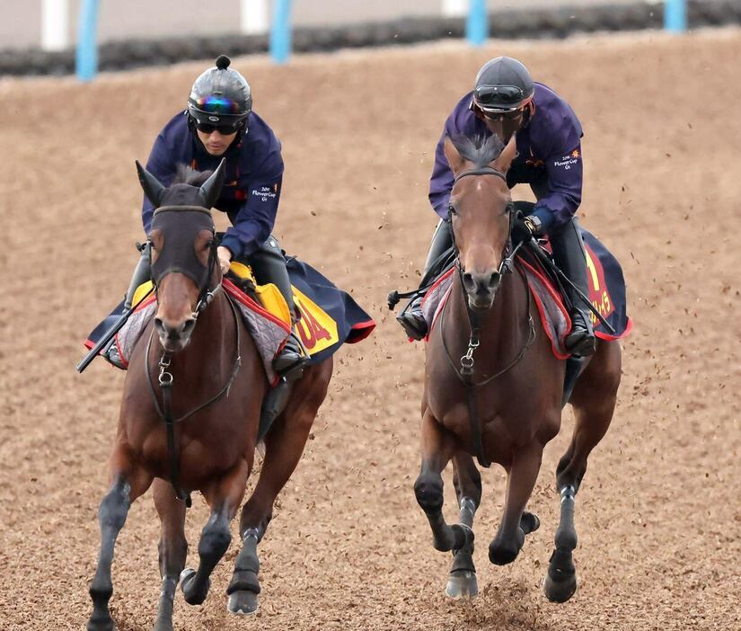 レガレイラ（右）は美浦Wコースでラスト1ハロン11秒0と鋭く伸びた＝美浦トレセン、撮影・塩浦孝明