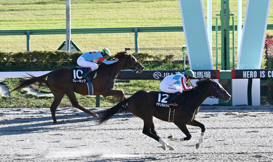 カトレアSを制したナチュラルライズと横山武騎手。左は2着のクレーキング（撮影・千葉一成）