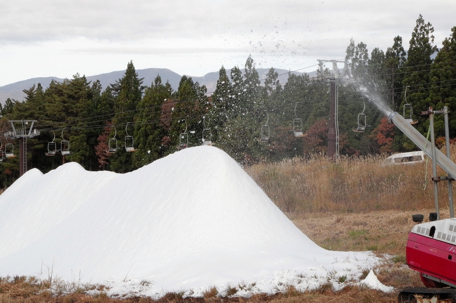 紅葉した木々とススキが揺れる中、人工造雪機でできた雪山＝11月20日、福井県勝山市のスキージャム勝山