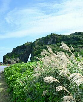 久米島の神秘的なスポット、ミーフガーのそばでススキの穂が風になびいていて、秋を感じました＝１０月２７日、久米島町仲村渠（金城拓撮影）