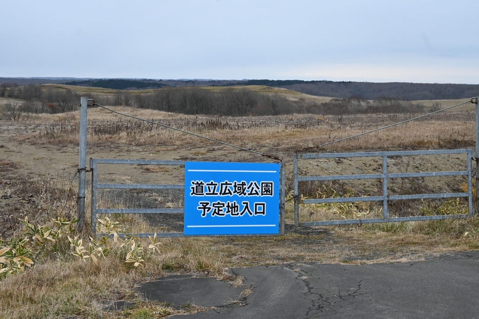 道立広域公園として整備される白糠町泊別地区の予定地