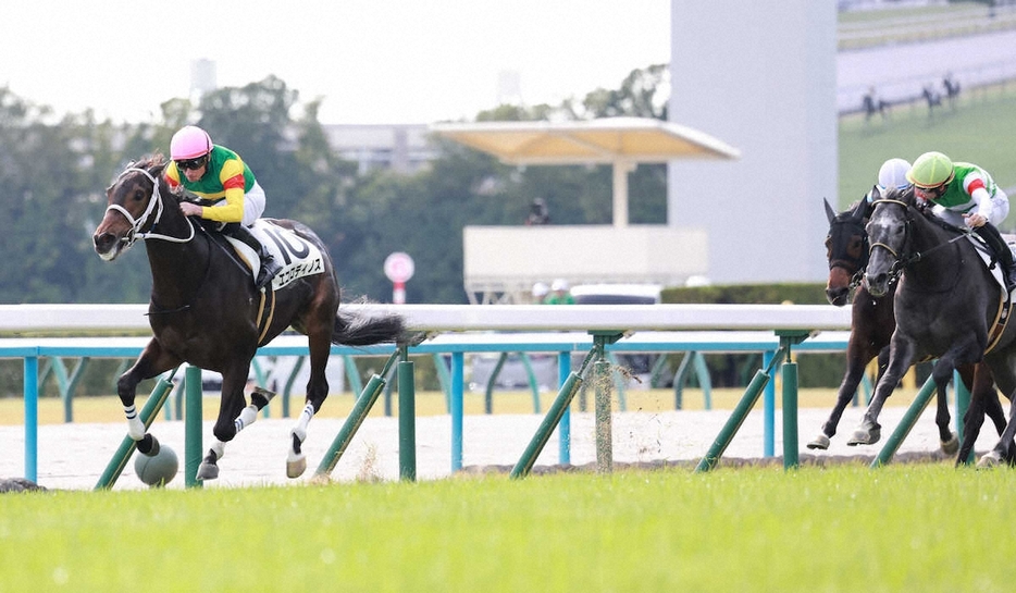 ＜京都5R新馬戦＞快勝したエコロディノス（左）（撮影・井垣　忠夫）