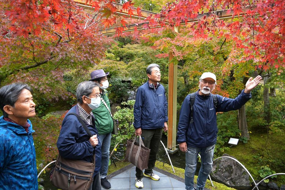 公園内のモミジを来園者に解説する清水さん（右端）＝精華町精華台・けいはんな記念公園