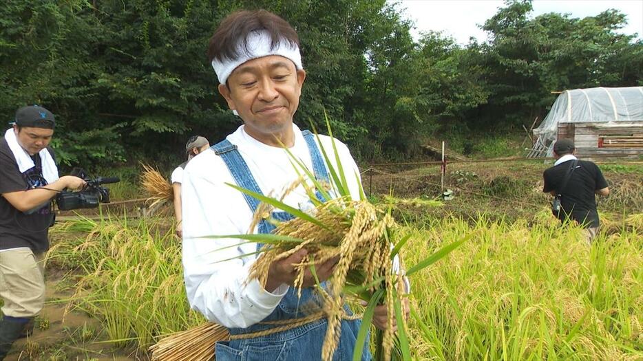 しみじみと稲穂を見つめる城島茂