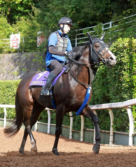 　Ｇ１初制覇に燃えるソウルラッシュ