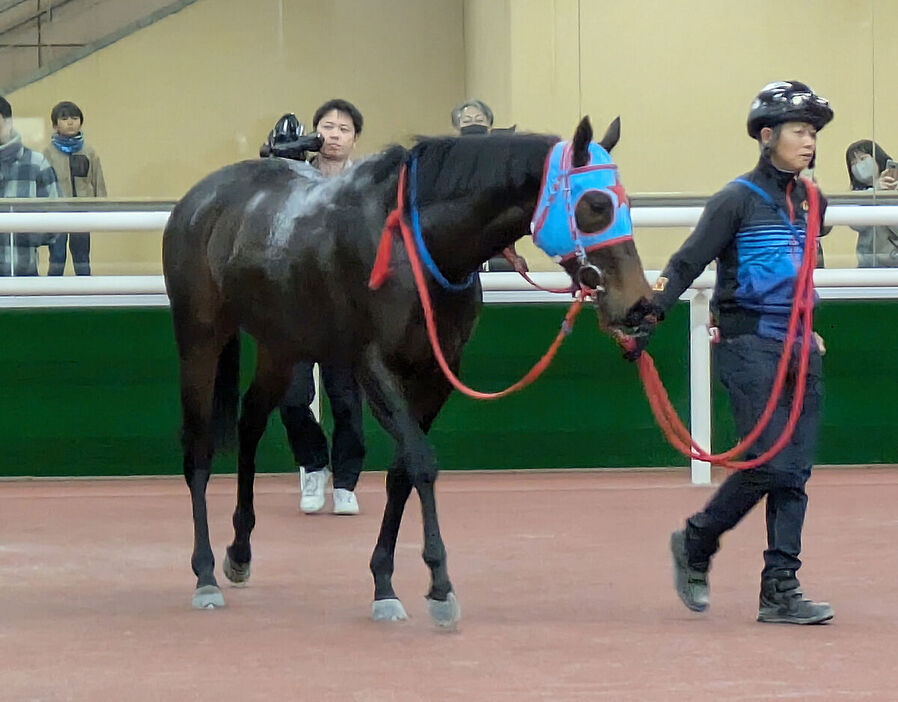 中京５Rで新馬勝ちしたフィングステン