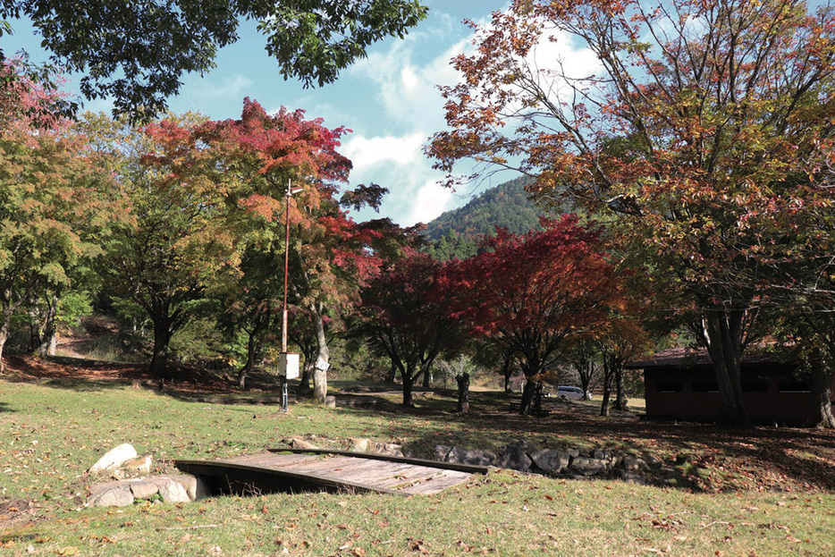 千種川で川遊びができる兵庫県宍粟市の「ちくさマウンテンビレッジ」