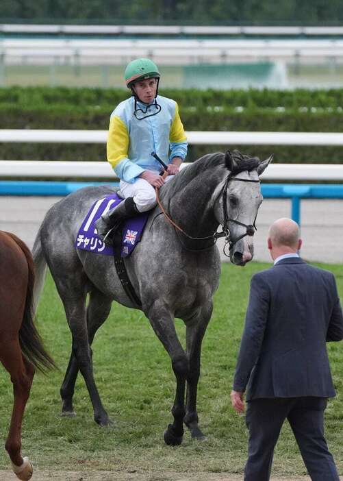 5着に敗れたチャリン＝京都競馬場（撮影・岩川晋也）