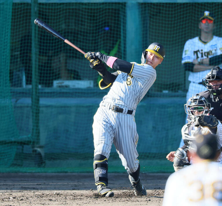 阪神紅白戦　6回表紅組1死、佐藤輝は中前打を放つ。後方は藤川監督（撮影・加藤哉）