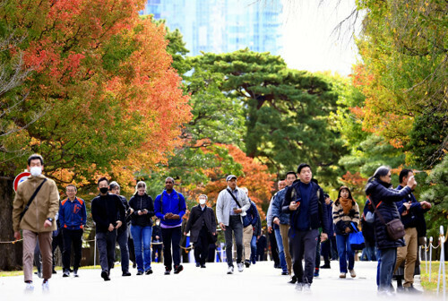 昨年の皇居の乾通り一般公開（２０２３年１１月２５日撮影）