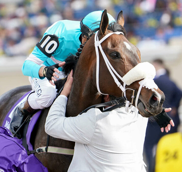 BCフィリー＆メアターフを制したモイラ（C）Shamela Hanley／Eclipse Sportswire／Breeders Cup