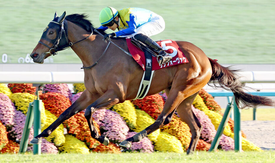 重賞初制覇を飾ったランフォーヴァウ（カメラ・高橋　由二）