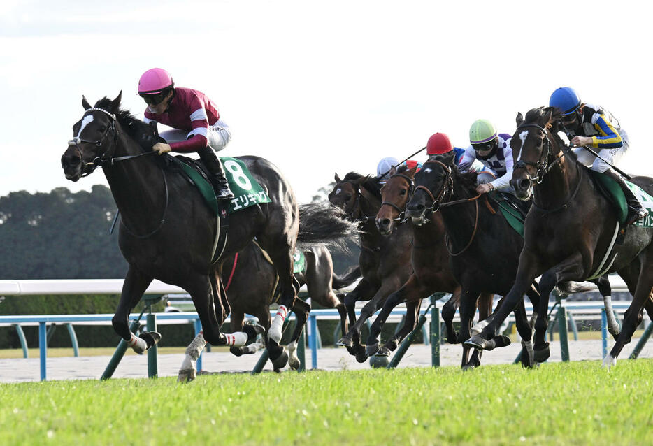 馬場の中央から抜け出し京都2歳Sを制するエリキング（左）と川田将雅騎手（撮影・和賀正仁）