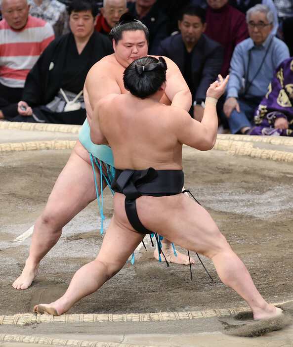 大相撲九州場所１１日目。大関陣は琴桜（奥）が小結若元春を力強く押し出し、豊昇龍は関脇大栄翔を落ち着いて仕留め、共に１敗を堅持＝２０日、福岡国際センター