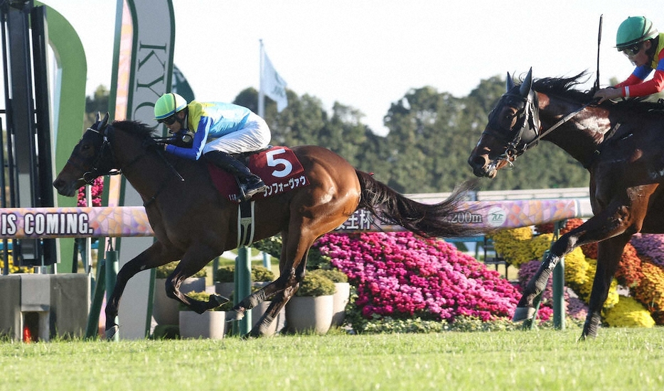 デイリー杯2歳Sで内から抜け出し勝利するランフォーヴァウ（撮影・亀井直樹）