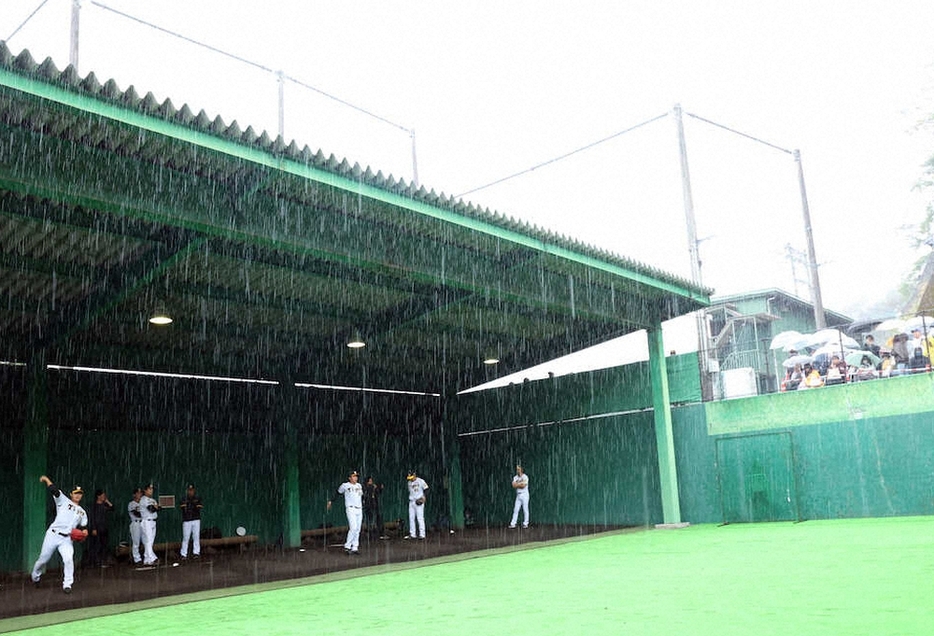 降りしきる雨の中、安芸のブルペンで投球練習する阪神投手陣（撮影・須田　麻祐子）