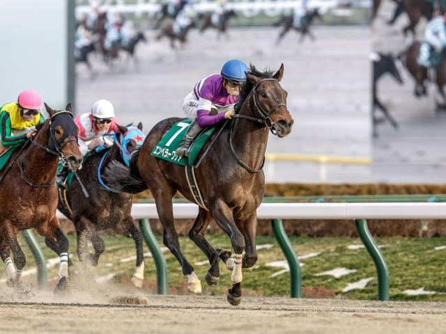 エンペラーワケアは6枠10番(撮影：下野雄規)