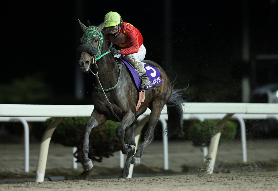 北上川大賞典・サクラトップキッドと陶文峰騎手 (C)岩手県競馬組合