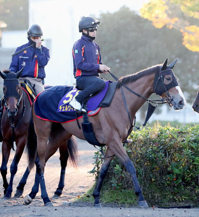 ２冠牝馬としてジャパンＣに挑むチェルヴィニア（カメラ・荒牧　徹）