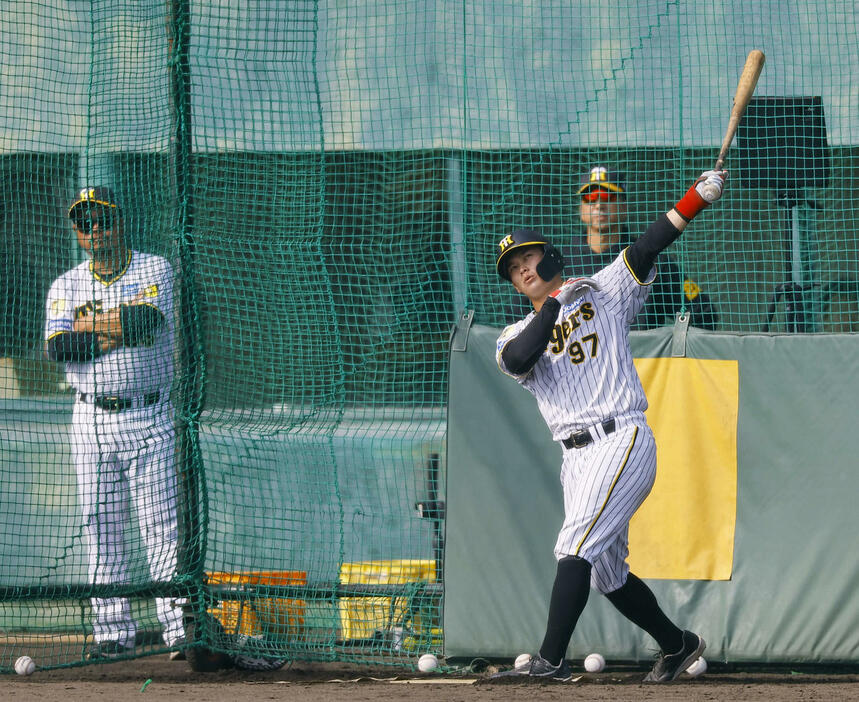 藤川監督（後方右）と小谷野コーチが見つめる中、ランチ特打で快音を響かせる野口（撮影・藤尾明華）