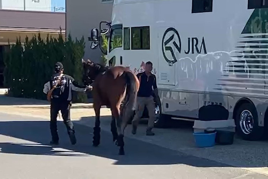 決戦の地・京都競馬場に到着したシンリョクカ