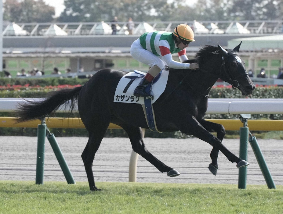 新馬戦を制したカザンラク（撮影・郡司　修）