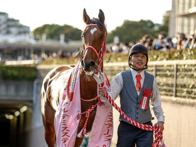 久々の勝利を狙うラヴェルは5枠9番(撮影：下野雄規)