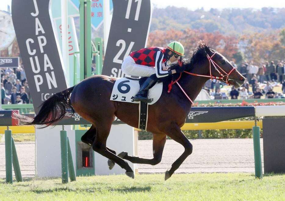 好位から抜け出し快勝したジュタ＝東京競馬場（撮影・塩浦孝明）