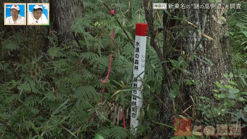 CBCマガジン『道との遭遇』