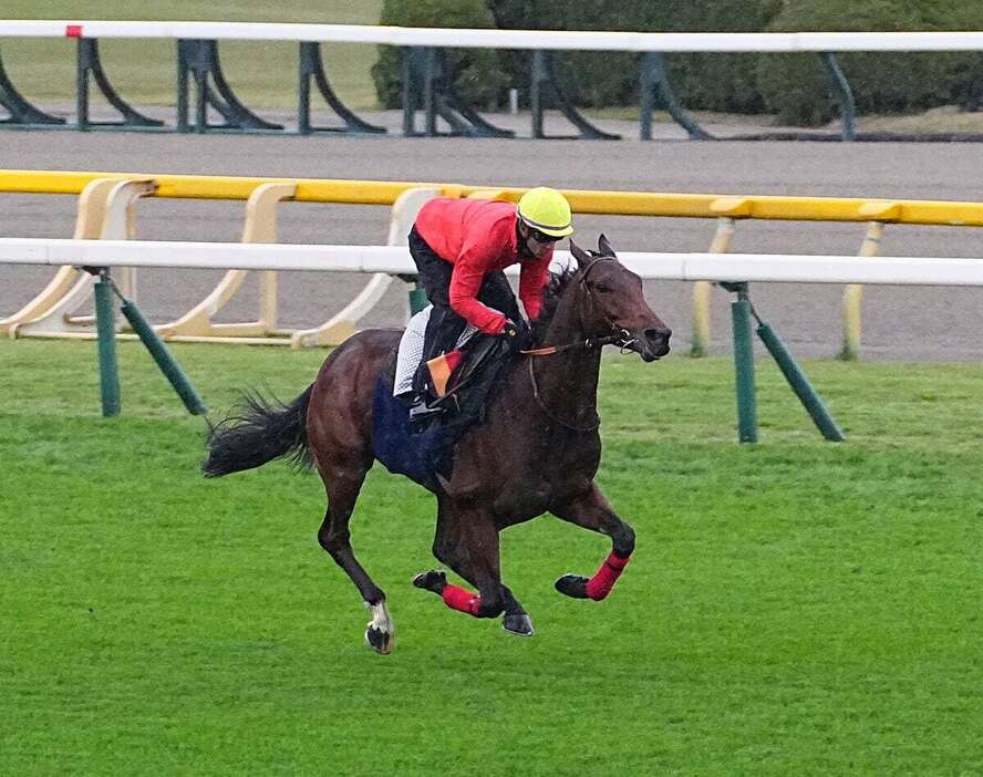 ゴリアットは芝コースで力強い走りを見せた＝東京競馬場（撮影・土谷創造）