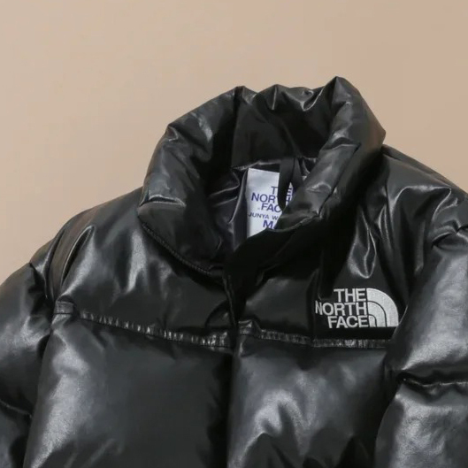 eYe JUNYA WATANABE MAN×THE NORTH FACE｜DOWN JACKET