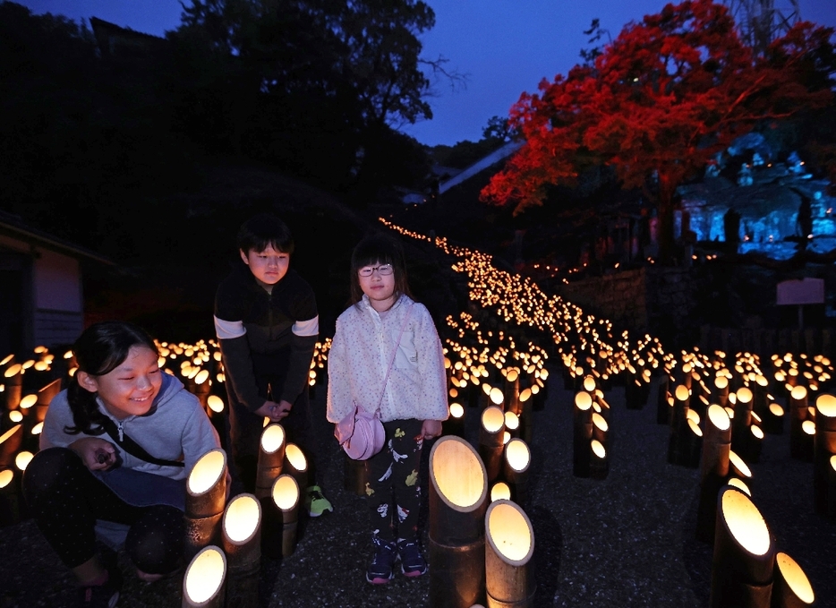 竹灯籠の中で揺らめく火を見つめる子どもたち＝15日夕方、竹田市竹田の十六羅漢