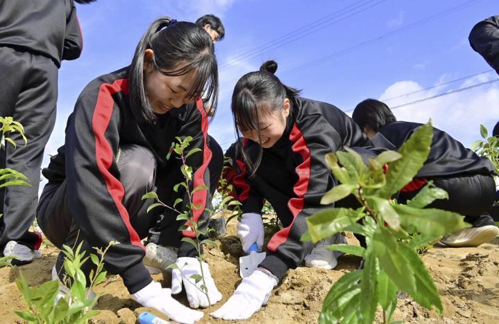 どすこいパークの「菜園・林の広場」の完成を記念し、苗木を植樹する野村高生