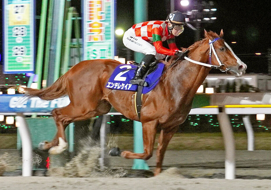 エンテレケイアは、電撃の１０００メートル戦を４馬身差の圧勝で飾った