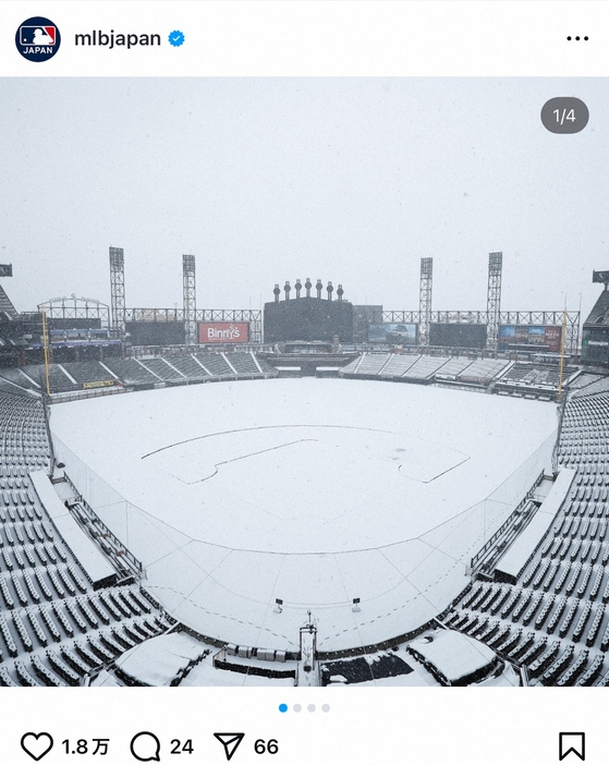 MLBジャパン公式インスタグラム（＠mlbjapan）から