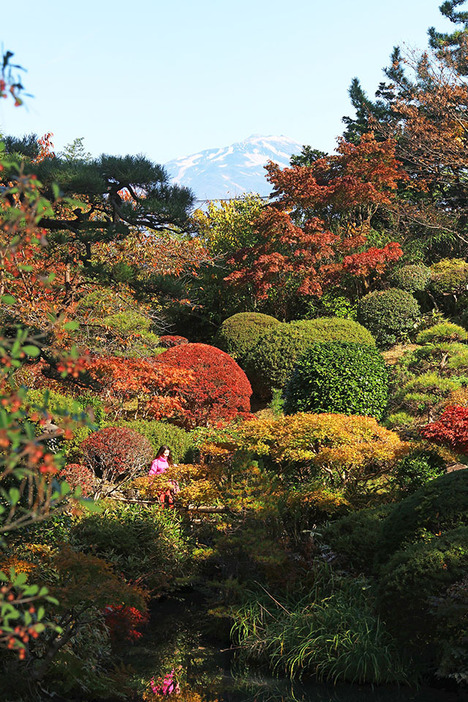 14日には庭園の紅葉と鳥海山の共演が見られた本間美術館の「鶴舞園」＝酒田市