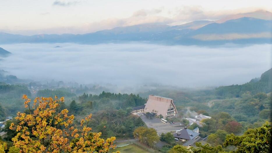 朝霧に包まれる由布院盆地（11月12日7時ごろ撮影、狭霧台で）　