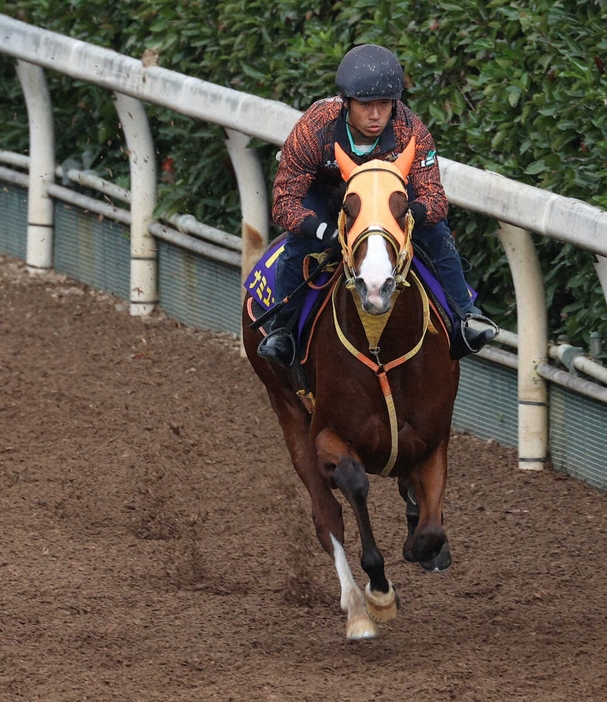 坂路で追い切るナミュール（撮影・亀井直樹）