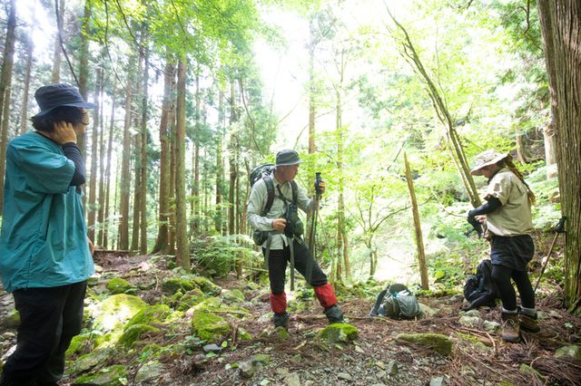 若い頃に登山をしていた人では、体力に優れていた当時の感覚と、体力が低下している現在の感覚とのずれに気づかずないことがあるので、仲間どうしで注意し合おう　photo by gettyimages