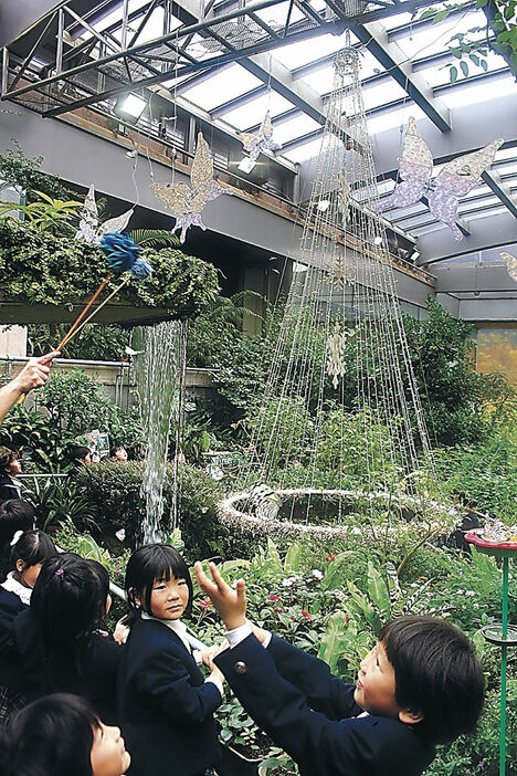 イルミネーションのそばで飛び交うオオゴマダラに喜ぶ園児＝白山市の県ふれあい昆虫館