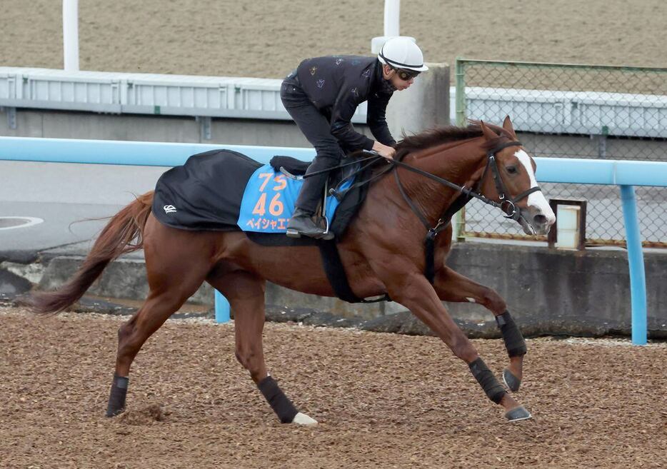 横山和生騎手を背に馬なりではじけるような脚取りを披露したペイシャエス＝美浦トレセン（撮影・塩浦孝明）