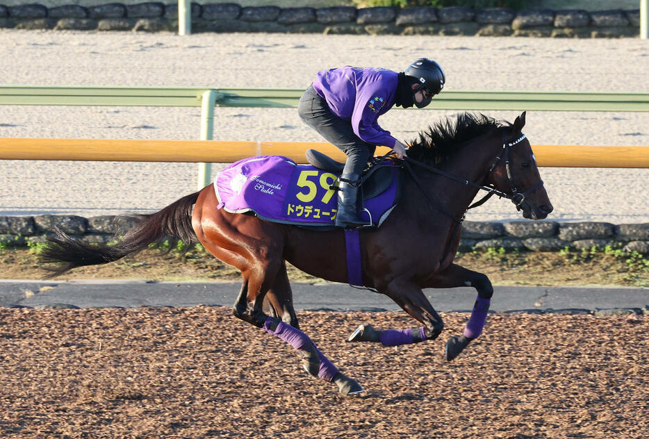 19日、Cウッドでキャンター調整するドウデュース