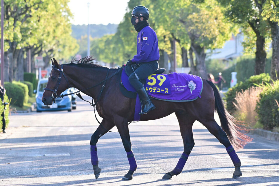 ３枠３番から頂点を目指すドウデュース