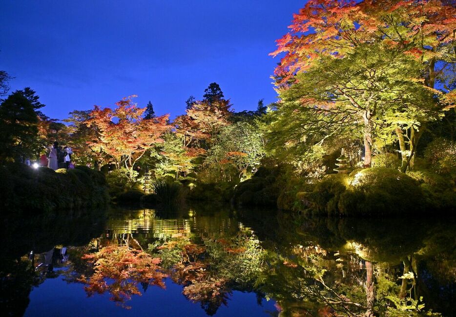 夕闇に浮かび上がる逍遥園の紅葉＝４日午後５時15分、日光市山内、磯真奈美撮影