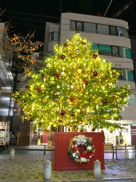 天然のモミの木で作られている自由が丘南口商店会のクリスマスツリー（写真は昨年のツリー）