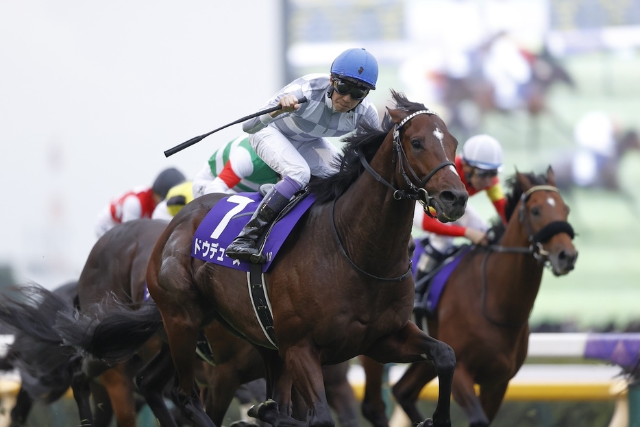 日本馬の総大将ドウデュース。天皇賞（秋）からG1連覇なるか　写真／橋本健