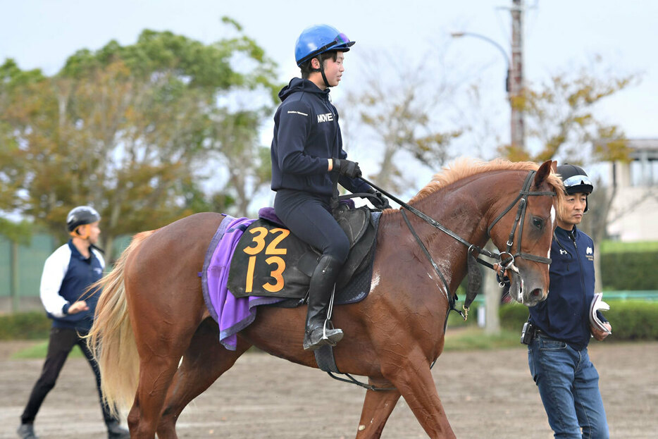 重賞馬の母ヴィータアレグリアに続きたいグランジョルノ