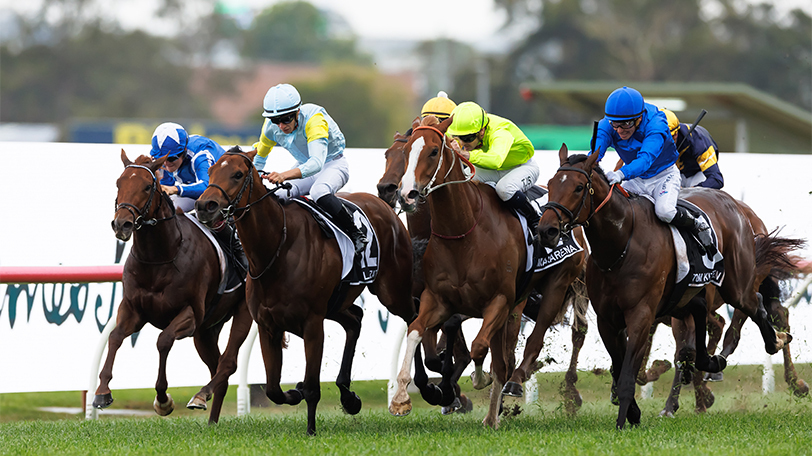 オーストラリアのローズヒルガーデンズ競馬場で行われたゴールデンイーグル