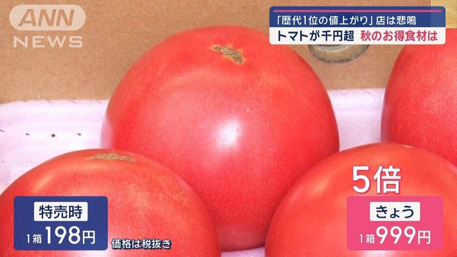 店は悲鳴…トマト「歴代一位の値上がり」　秋のお得食材、狙い目は“鍋のお供”